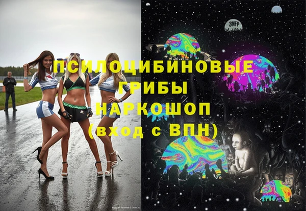круглые Алексеевка