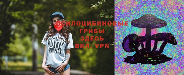 круглые Алексеевка