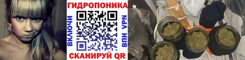 Конопля VHQ  Кызыл 